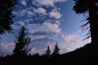 DSC_0105 (Large).JPG